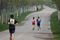 fitlauf_4.2014_037