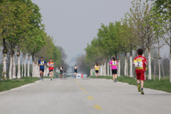 fitlauf_4.2014_042
