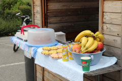 ksv-fitlauf_20141026_web_02