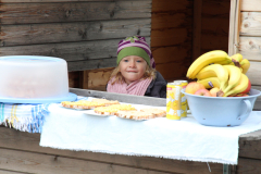 ksv-fitlauf_20141026_web_07