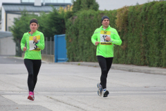 ksv-fitlauf_20141026_web_19