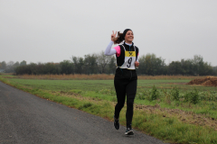 ksv-fitlauf_20141026_web_21